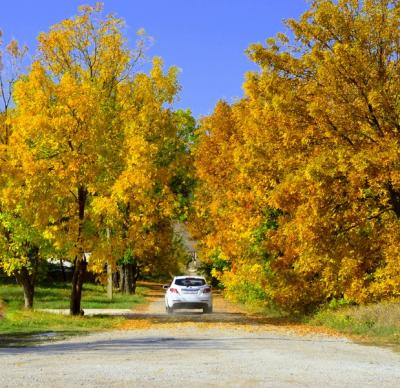 Прикрепленное изображение: _DSC9250 (Копировать).JPG